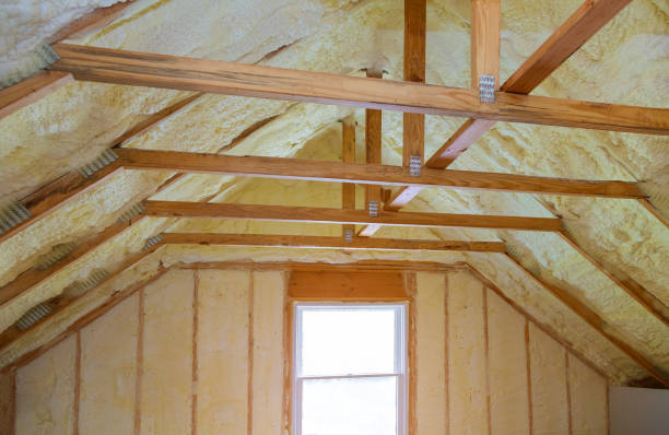 Best Eco-Friendly Insulation in Cedar Bluff, VA