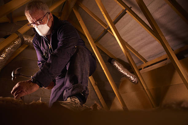 Best Insulation Maintenance and Repair in Cedar Bluff, VA